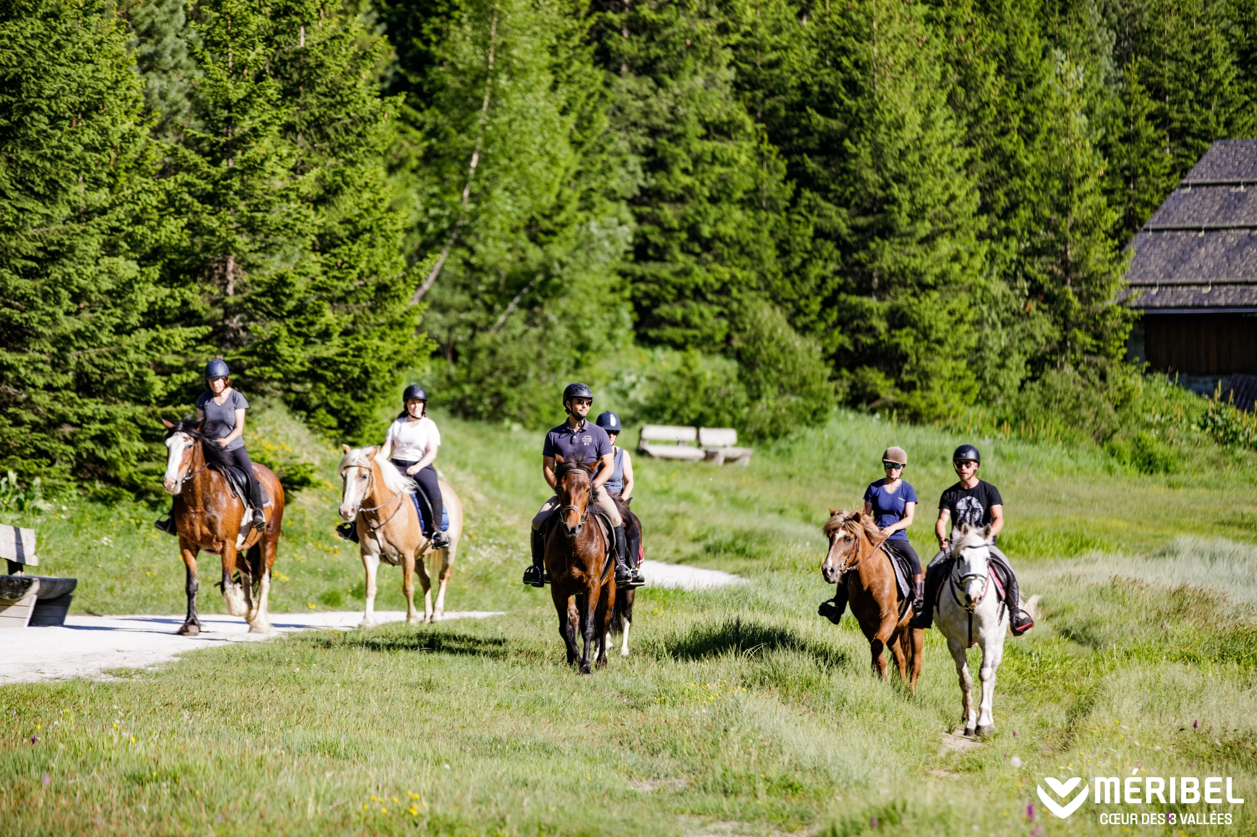 Randonnée à cheval à Méribel, dans une prairie bordée de forêt.