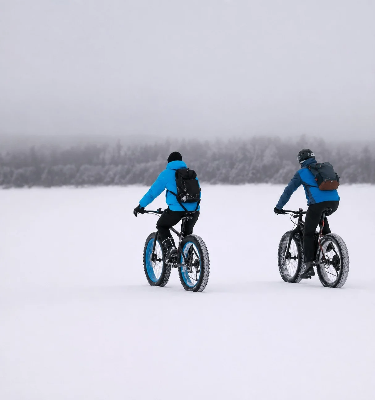 Deux cyclistes sur des vélos à pneus larges traversent une étendue enneigée.