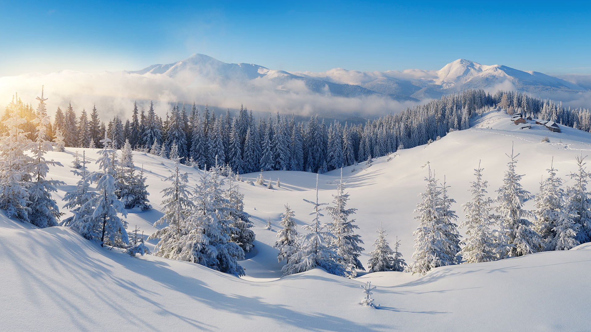Sapins couverts de neige et chalets sur une crête, devant des montagnes partiellement enveloppées de nuages.