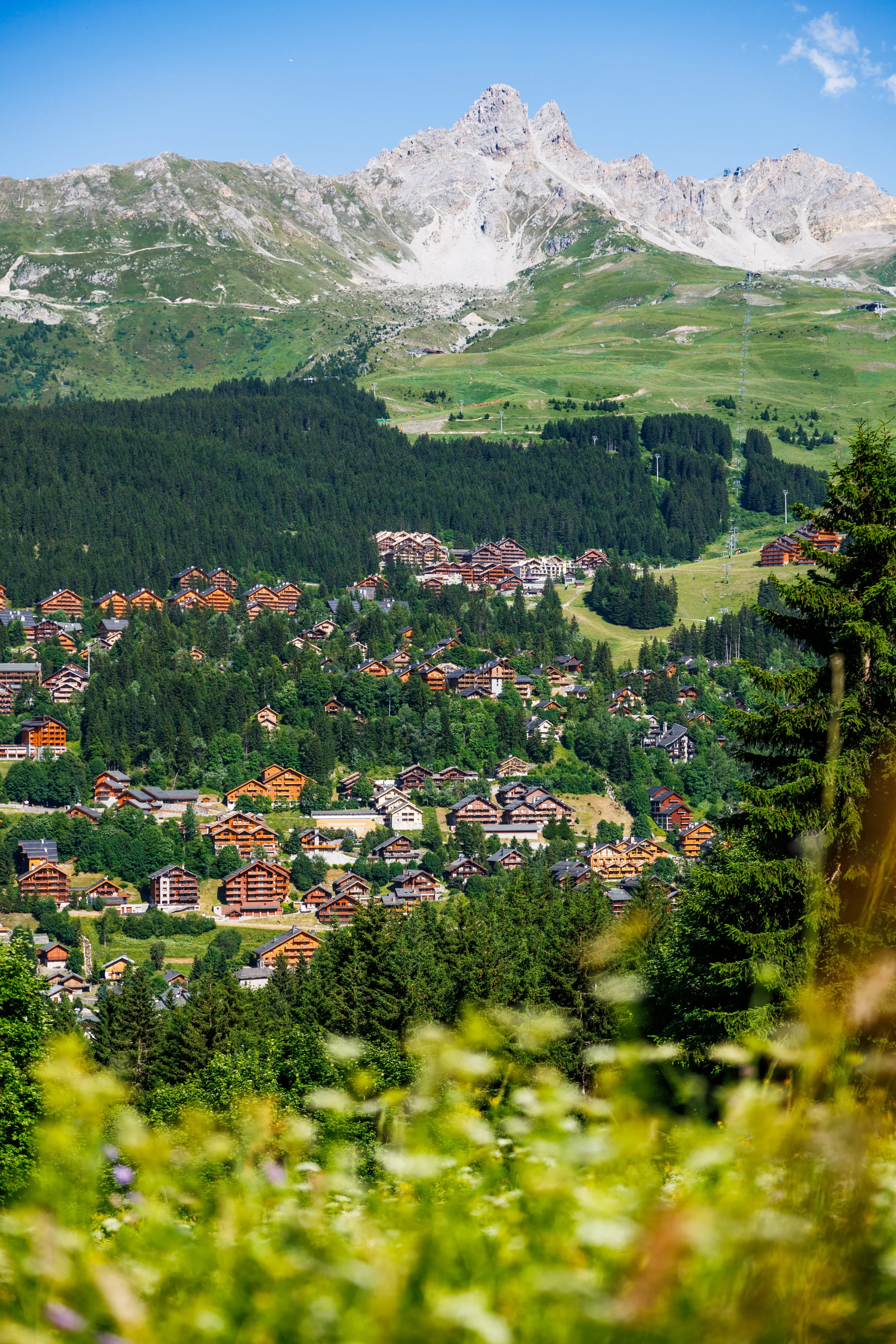 Sentiers de randonnée à Méribel sur des versants verdoyants, au-dessus des chalets et de la forêt de conifères.