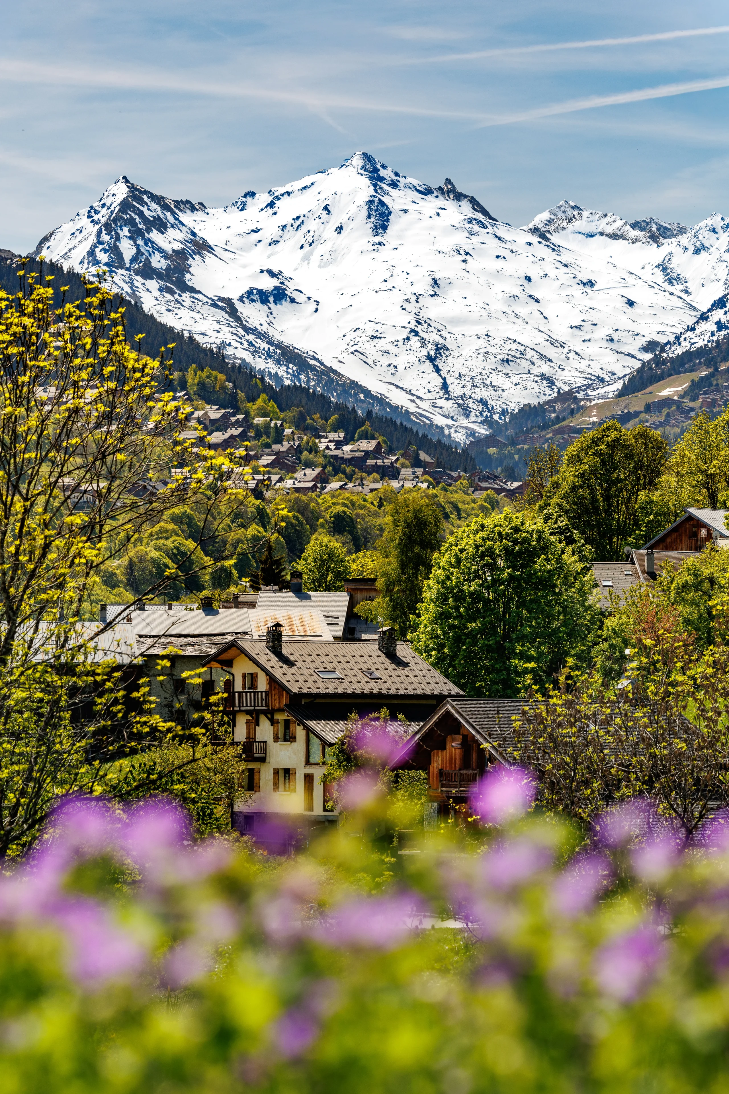 Chalets entourés d’arbres au feuillage printanier, dominés par des sommets enneigés.